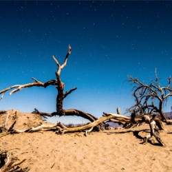 Death Valley Night border=0></a>
                            
                                                        </div>
                        </div>




                        
                                                          <div class=